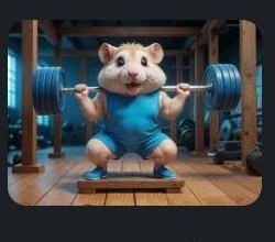 Gym hamster