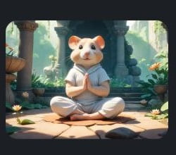 Vipassana hamster